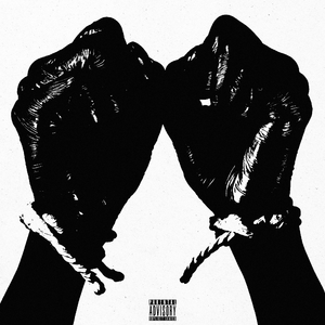 gogogo高清在线观看免费完整版如果奔跑是我的
