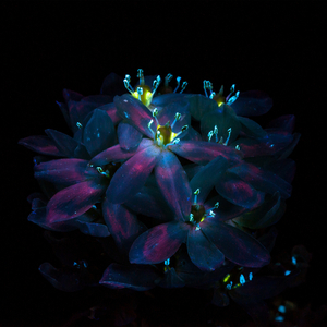 gogogo高清在线观看免费完整版如果奔跑是我的
