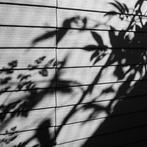 gogogo高清在线观看免费完整版如果奔跑是我的
